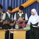 STEM (Science, Technology, Engineering, and Mathem